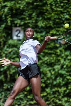 Bild 272 - BL2 THC von Horn und Hamm - Der Club an der Alster : Ergebnis: 0:9